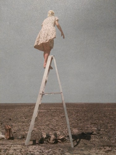 Biennale Venezia 2016 Mostra Internazionale di Architettura