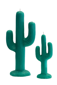 VELA CACTUS BABY