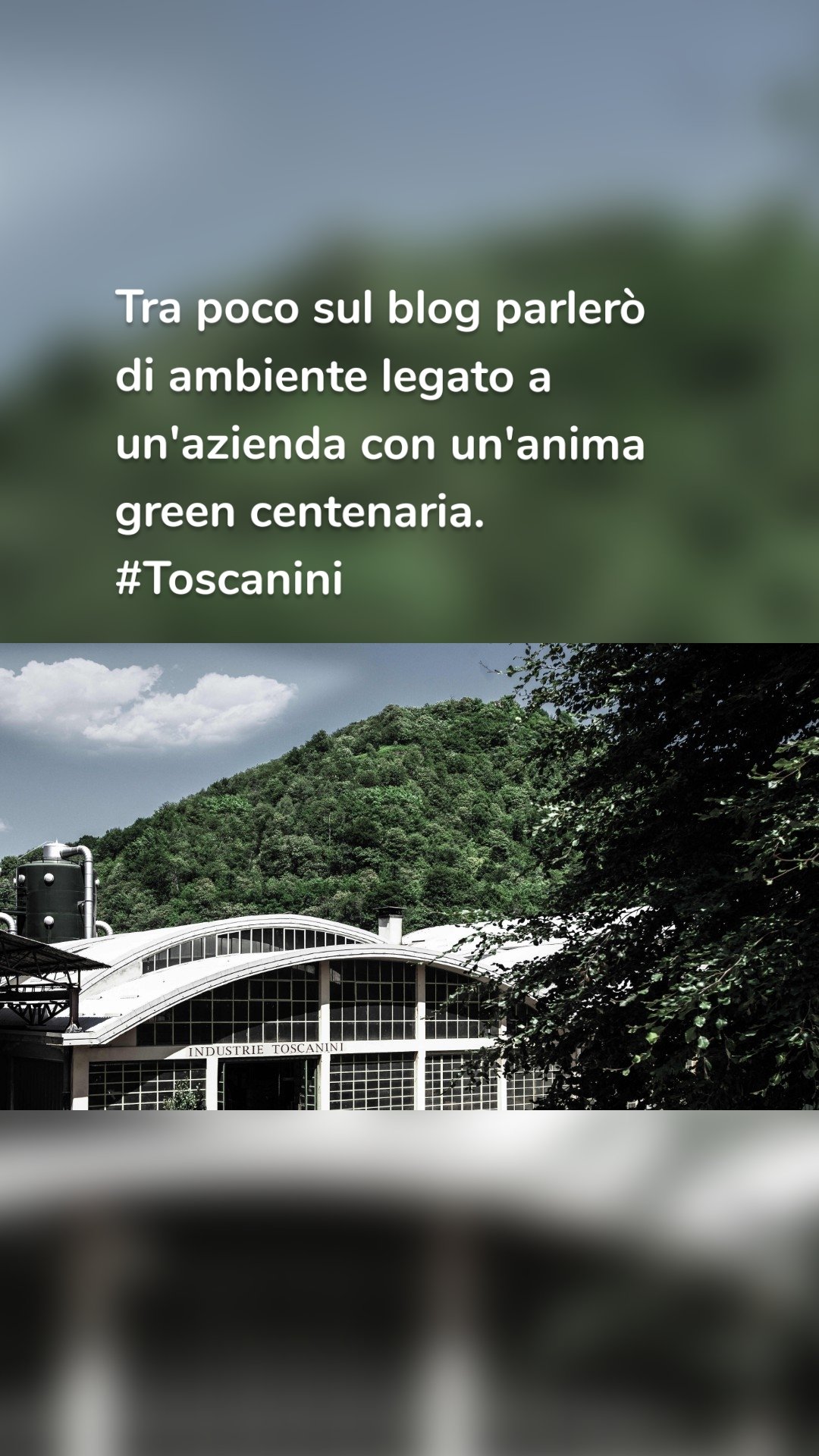 Tra poco sul blog parlerò di ambiente legato a un'azienda con un'anima green centenaria.
#Toscanini 